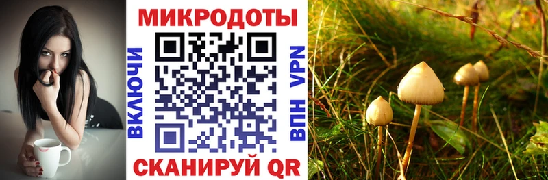 цена наркотик  Кимры  KRAKEN как войти  Галлюциногенные грибы прущие грибы 